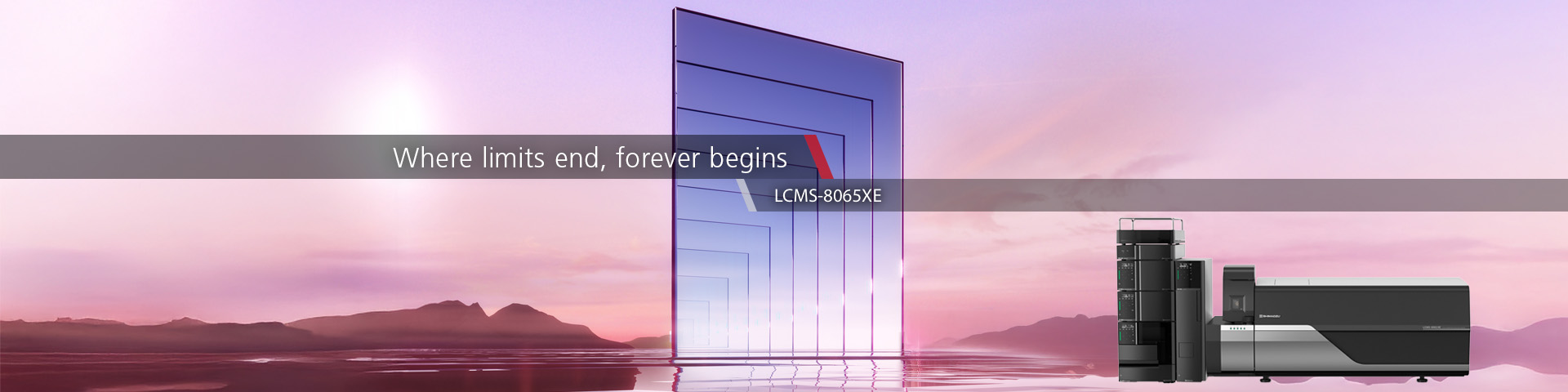 LCMS-8056XE Shimadzu