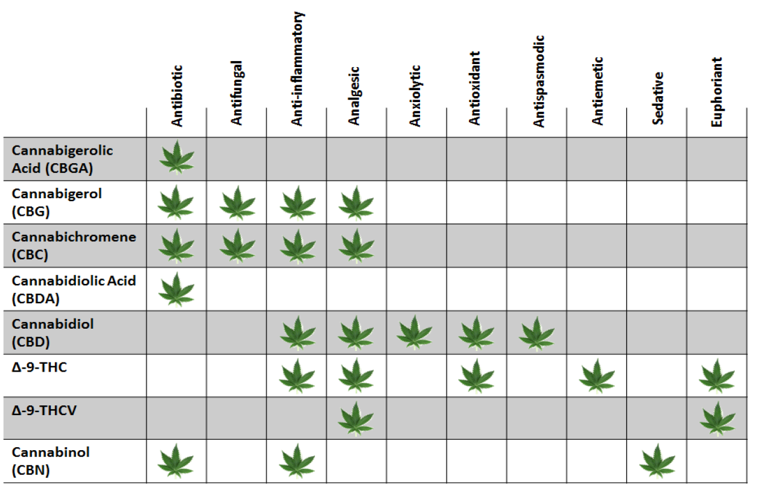 Cannabinoids and pharmacological characteristics