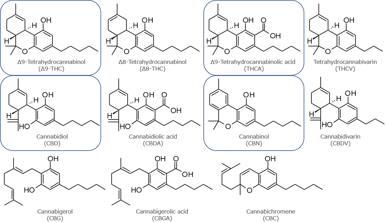 Simplified Cannabis Potency Testing by HPLC-UV