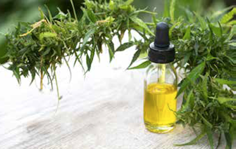 hemp_oil