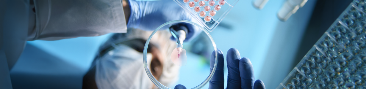 pharmaceutical solutions shimadzu