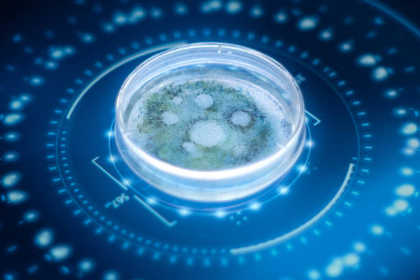 bioprocessing shimadzu