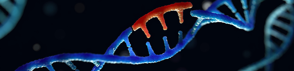nucleotide shimadzu