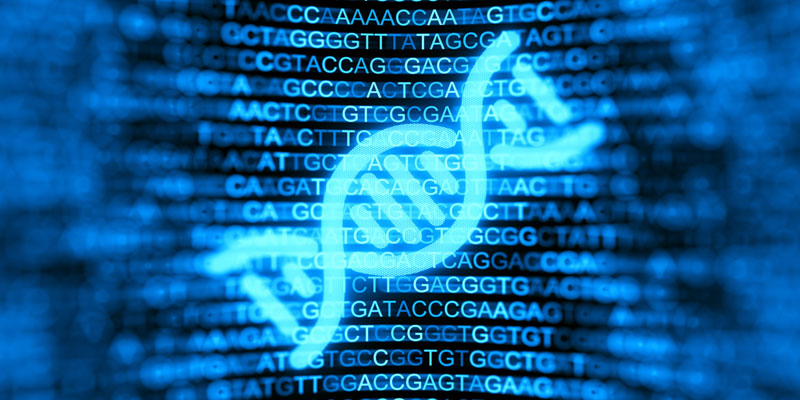 nucleotide analysis