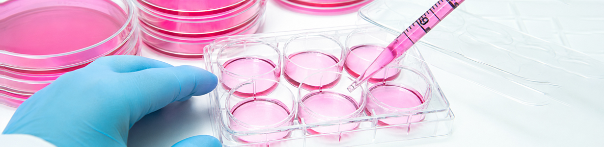 cell culture shimadzu