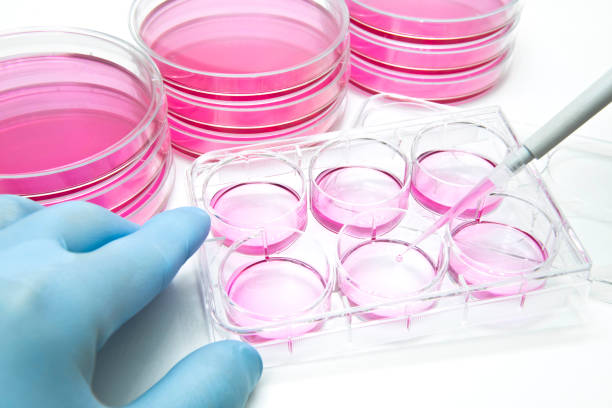 cell culture shimadzu