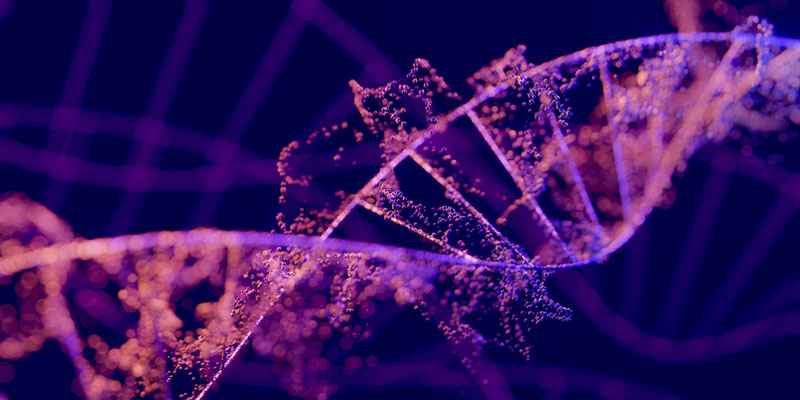 Nucleotide Analysis