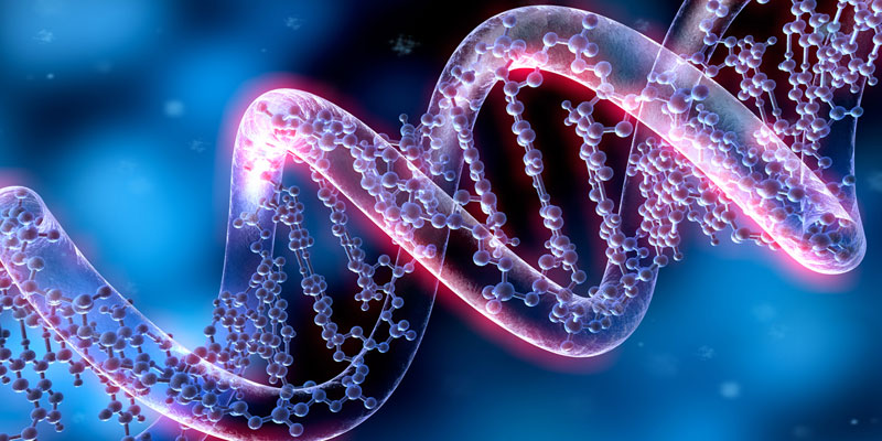 Nucleotide Analysis