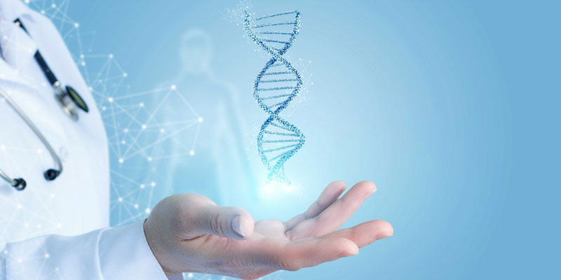 Nucleotide Analysis