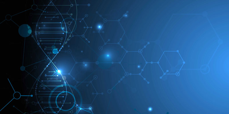 Nucleotide Analysis