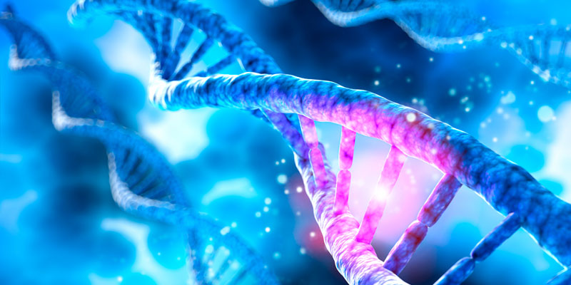 Nucleotide Analysis