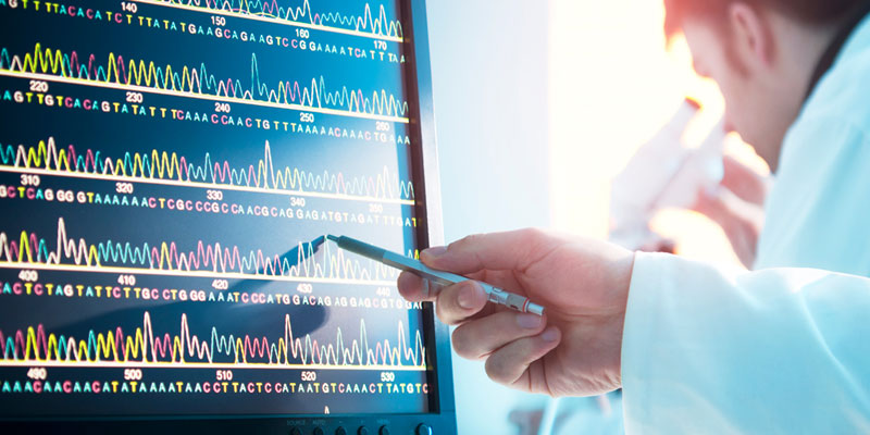 Nucleotide Analysis