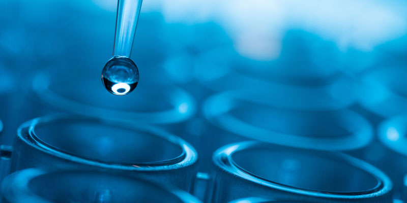 Nucleotide Analysis