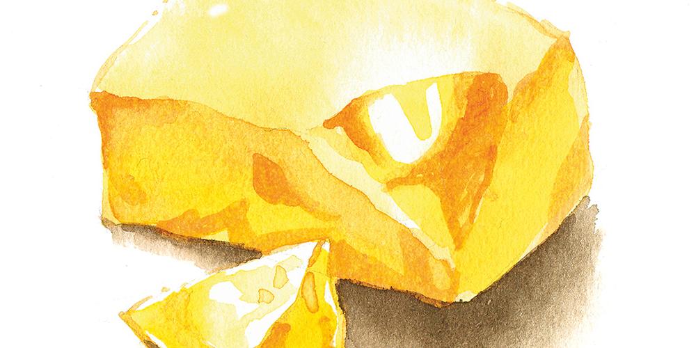 FOOD FAT analysis story Shimadzu