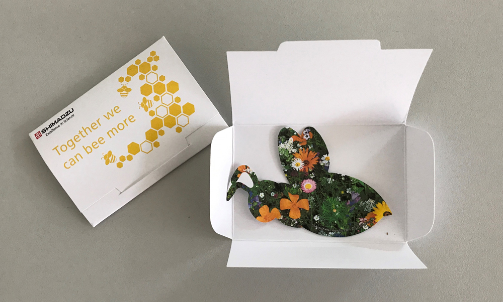 Shimadzu Flower Seeds