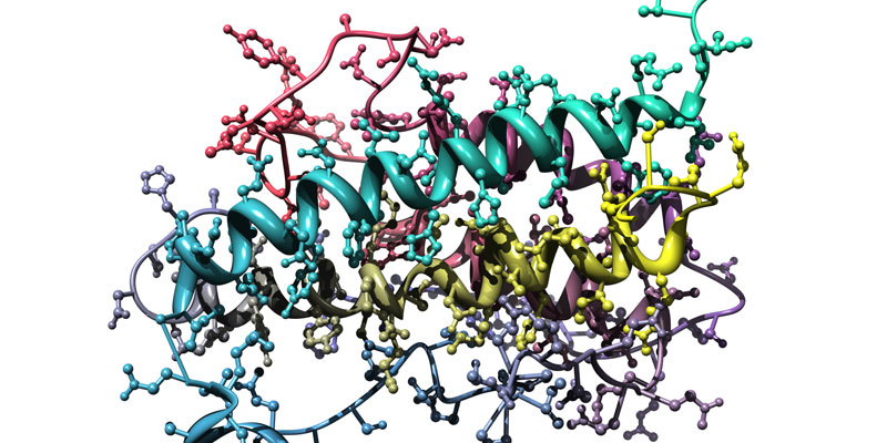 Proteins
