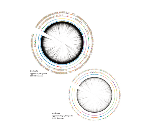 MicrobialTrack Shimadzu