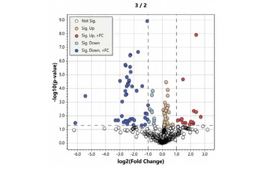 LabSolutions Insight Profiler