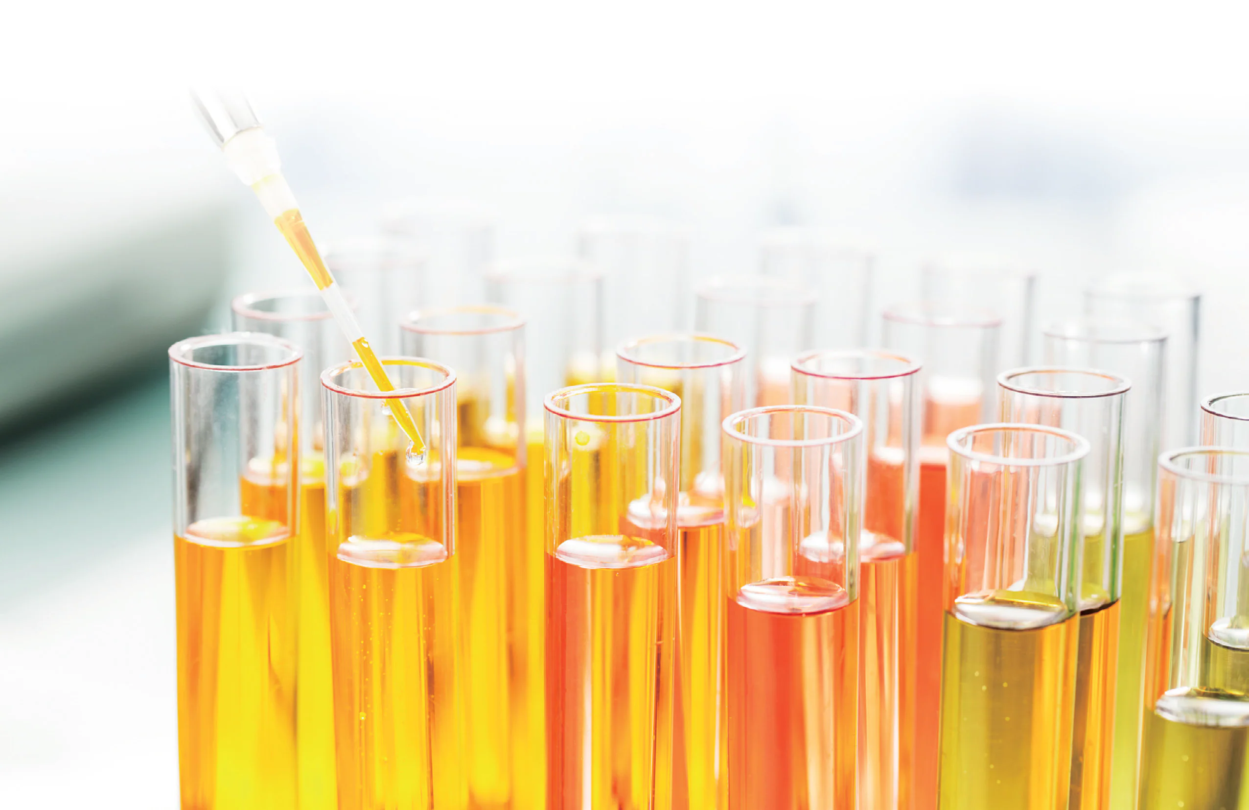 MRM Library for Phospholipid Profiling