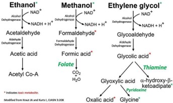 Metabolomic pathway