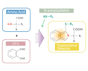 Overlap Injection Function