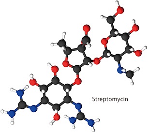 Streptomycin LC/MS/MS Method Package for Aminoglycoside Antibiotics