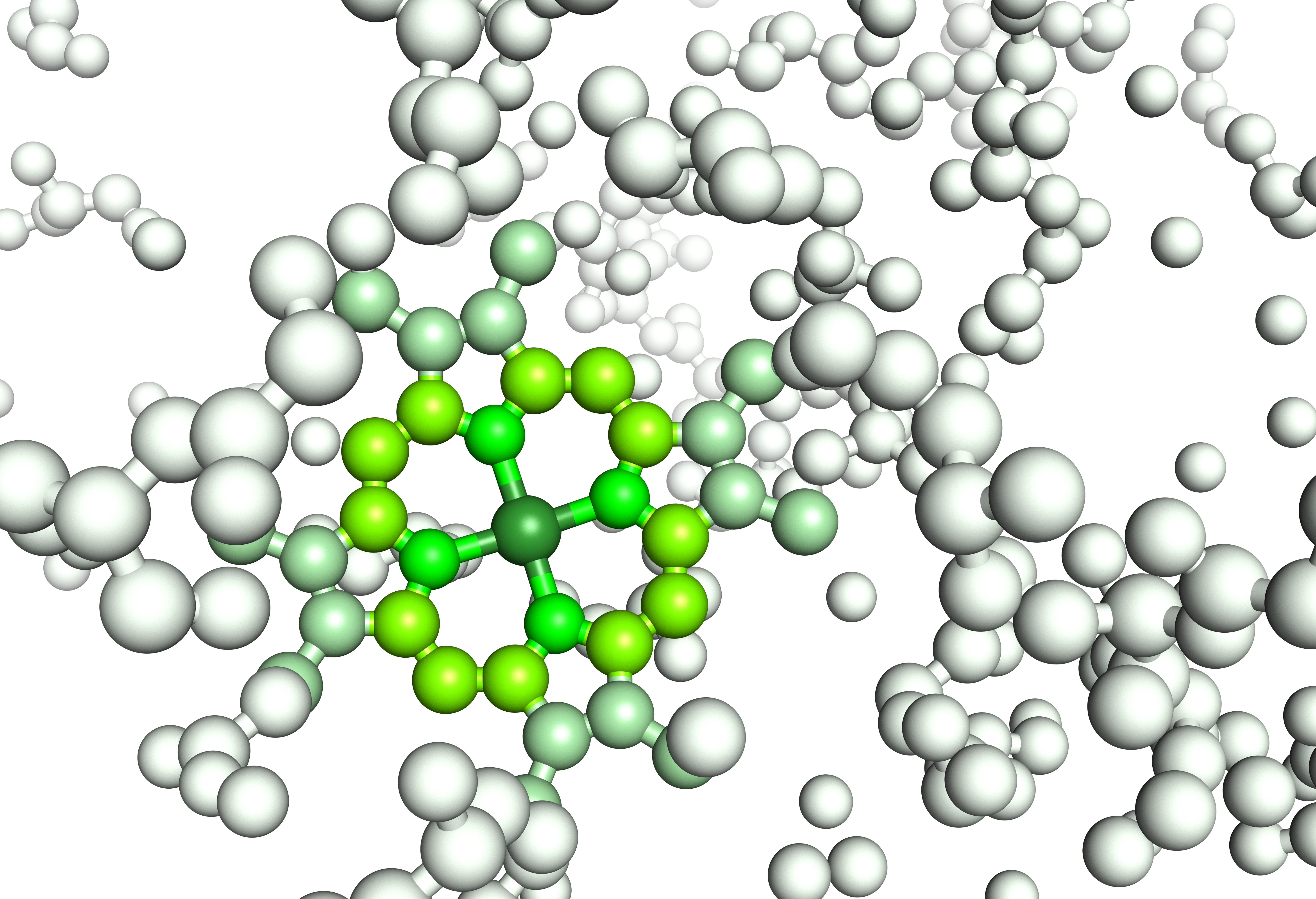 Analysis of Amino Acids SHIMADZU EUROPA