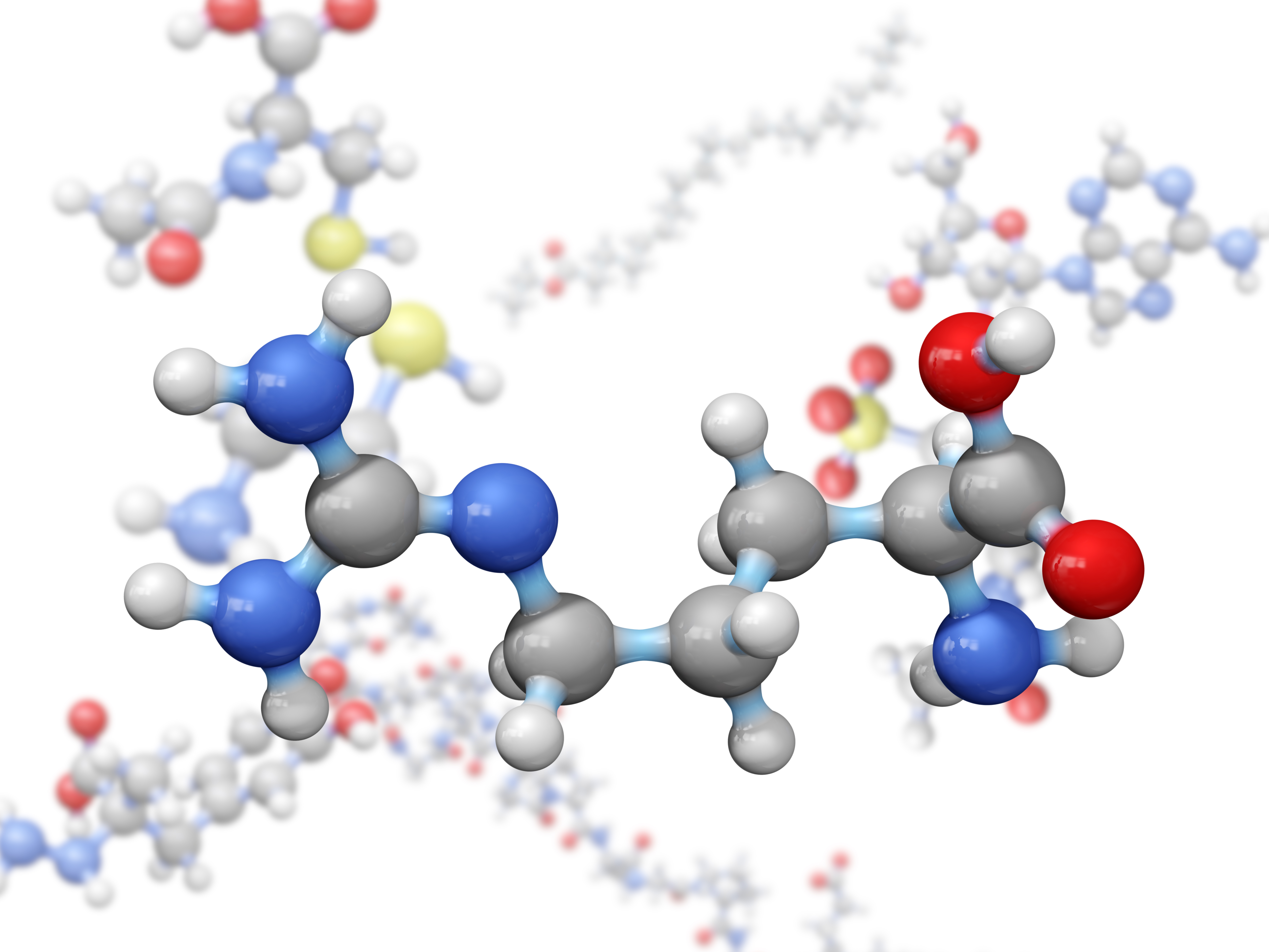 free download amino acid structure free download amino acid structure