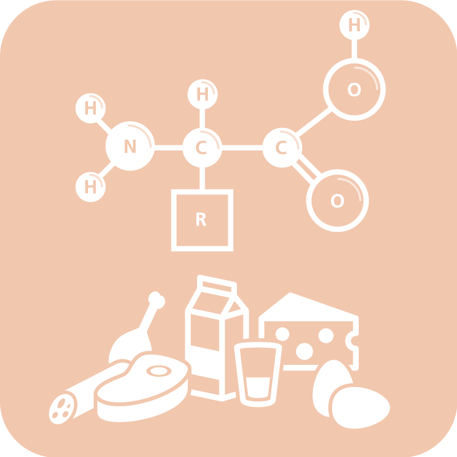 Amino Acids