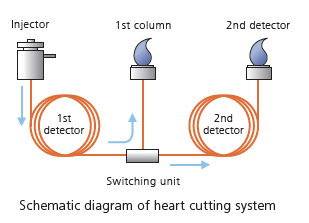 Schematic diagram of heart cutting system