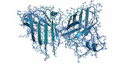 Glycomics