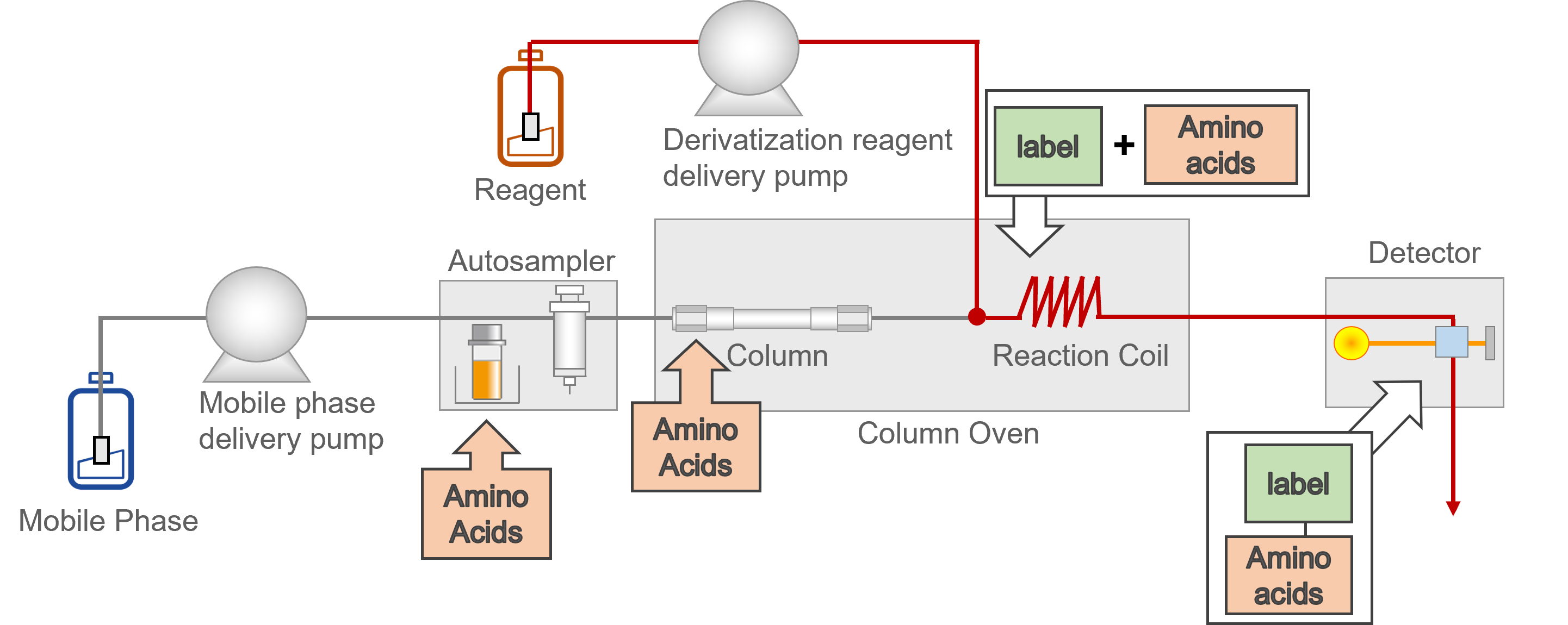 Flow line diagram the Nexera Amino Acid Analysis system using post-column derivatization