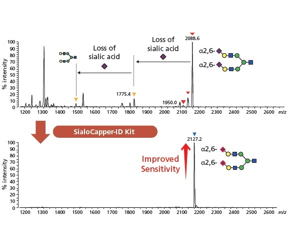 Improving sialoglycan sensitivity